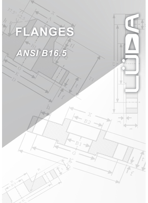 ansiB16.5美国法兰标准