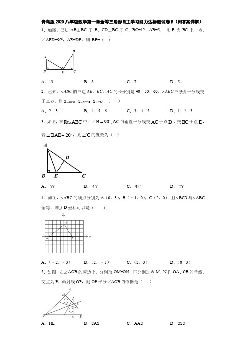 青岛版2020八年级数学第一章全等三角形自主学习能力达标测试卷B(附答案详解)