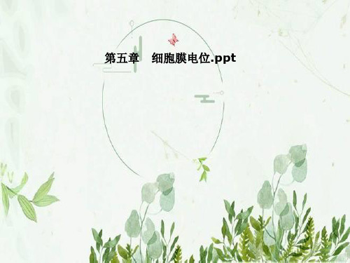 第五章   细胞膜电位
