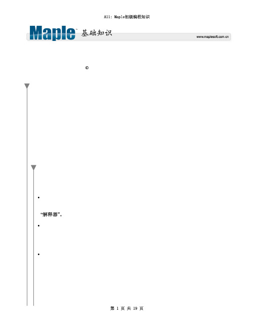 Maple入门教程A11-程序设计基础