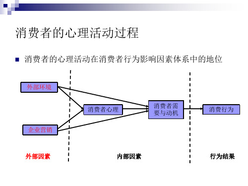 最新影响消费者心理与行为的外部因素PPT课件