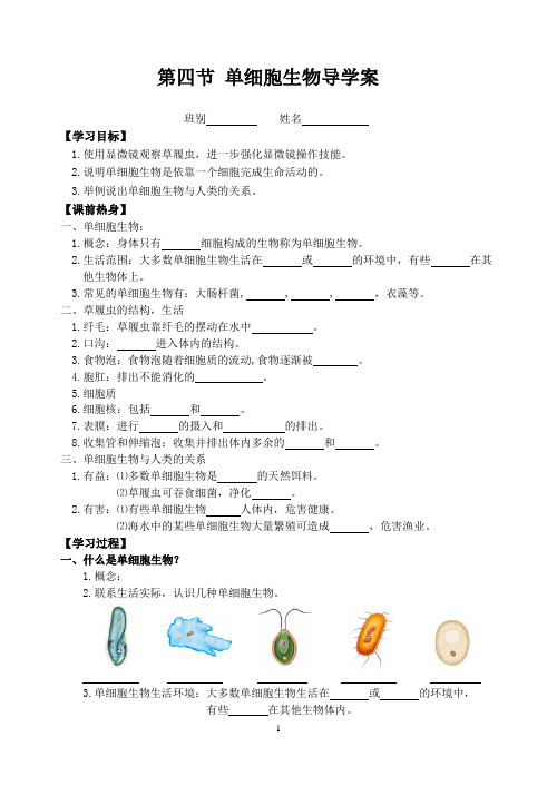 2.2.4单细胞生物导学案