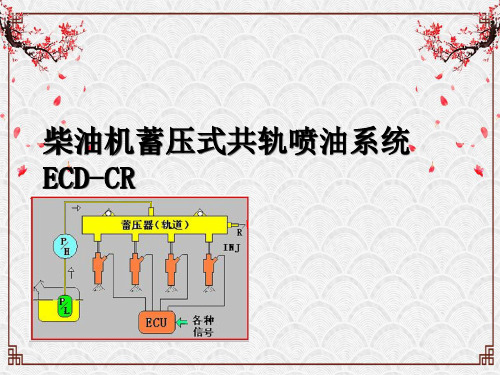 柴油机蓄压式共轨喷油