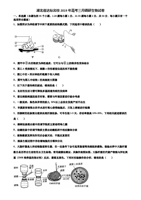 湖北省达标名校2019年高考三月调研生物试卷含解析