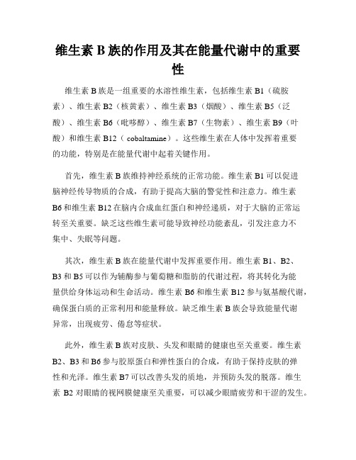 维生素B族的作用及其在能量代谢中的重要性