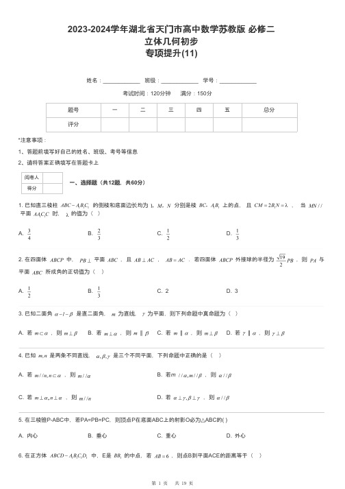 2023-2024学年湖北省天门市高中数学苏教版 必修二立体几何初步专项提升-11-含解析