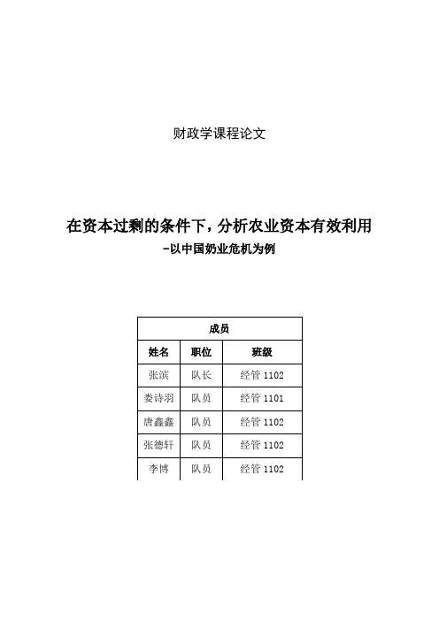 财政学课程论文 模板