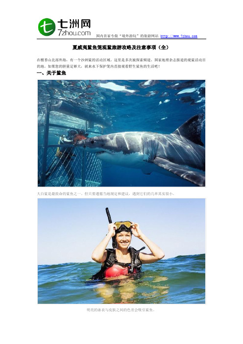 夏威夷鲨鱼笼观鲨旅游攻略及注意事项(全)