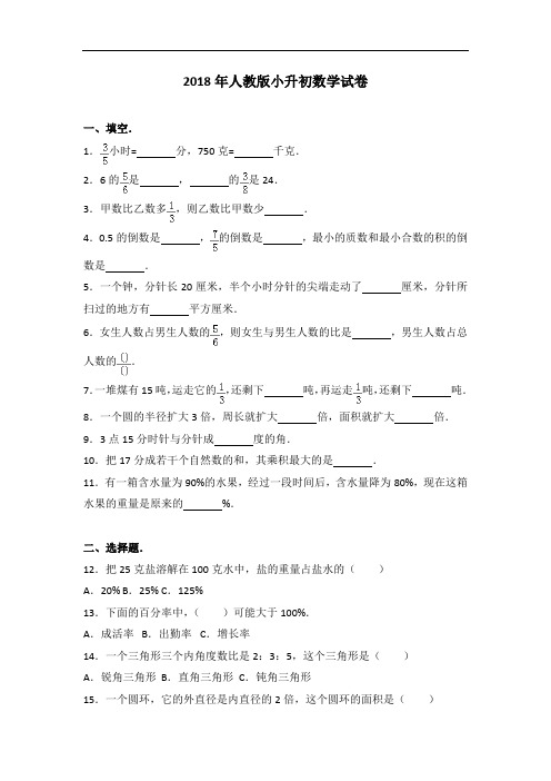 人教版小升初数学试卷及答案