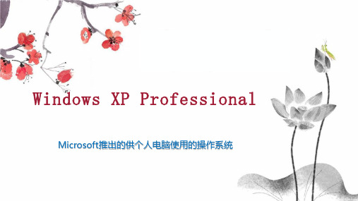 Windows XP Professional