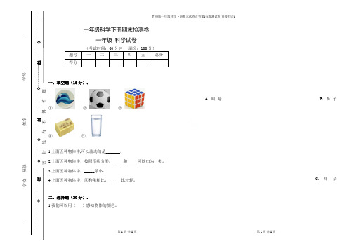 教科版一年级科学下册期末试卷及答案(标准测试卷,直接打印)