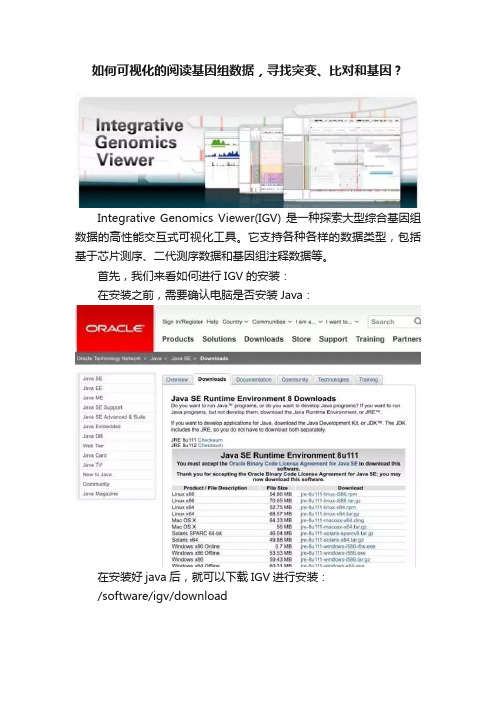 如何可视化的阅读基因组数据，寻找突变、比对和基因？