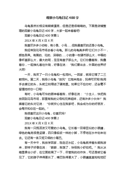 观察小乌龟日记400字