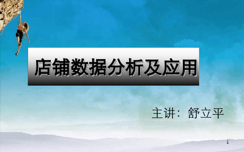 舒立平——店铺数据分析及应用