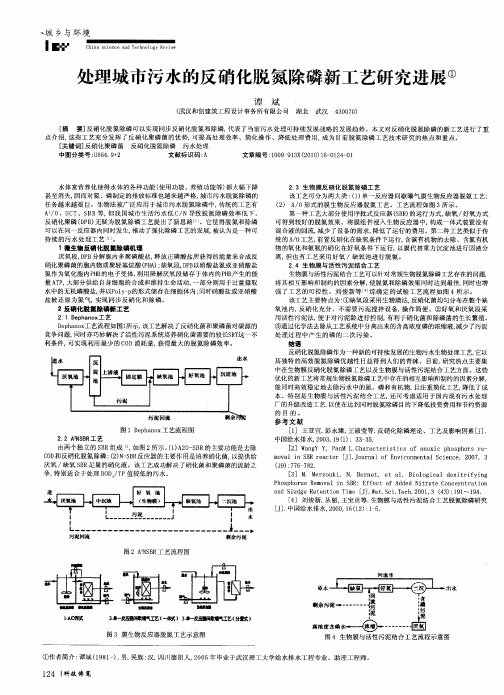 处理城市污水的反硝化脱氮除磷新工艺研究进展