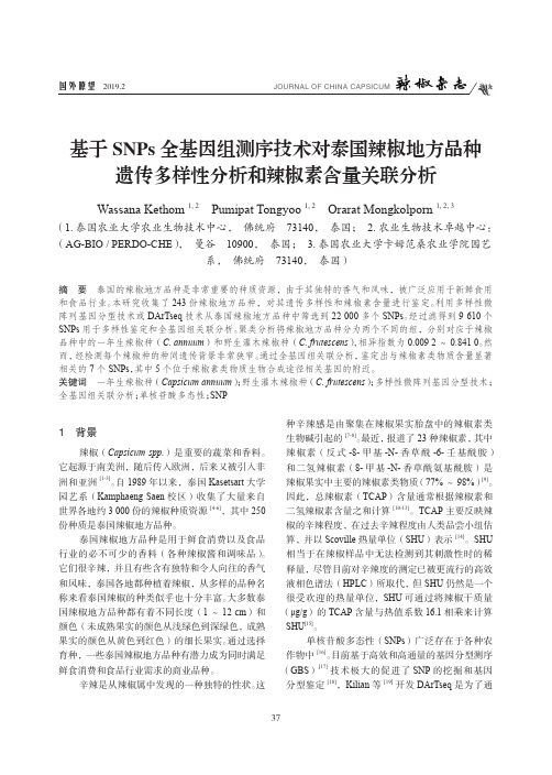 基于snps全基因组测序技术对泰国辣椒地方品种遗传多样性分析和辣