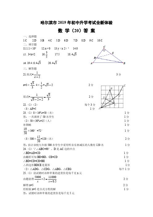 19中考全新体验(20)答案
