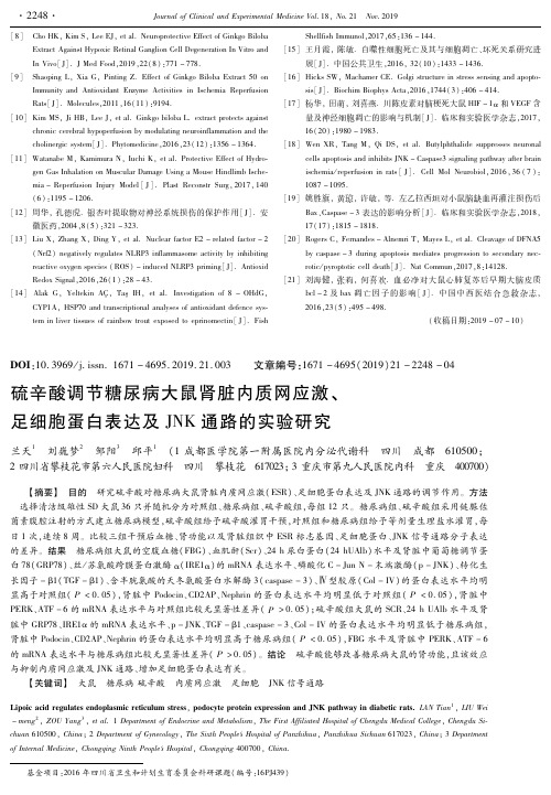 足细胞蛋白表达及JNK通路的实验研究