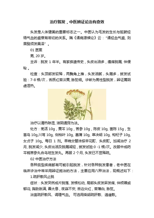 治疗脱发，中医辨证论治有奇效