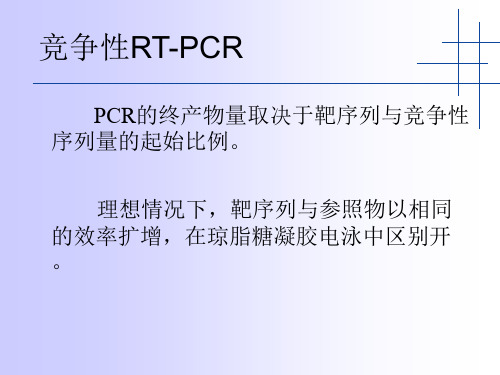 定量RTPCR原理