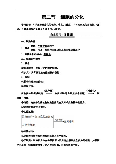 2019-2020学年中图版生物必修一讲义：第4单元 第1章 第2节 细胞的分化 Word版含答案