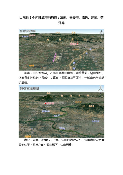 山东省9个内陆城市地势图：济南、泰安市、临沂、淄博、菏泽等