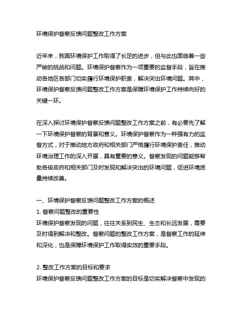 环境保护督察反馈问题整改工作方案