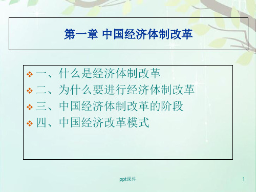 第一章中国经济体制改革  ppt课件