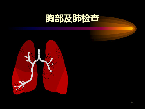 胸部体格检查PPT课件