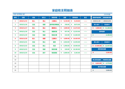 家庭收支明细表1