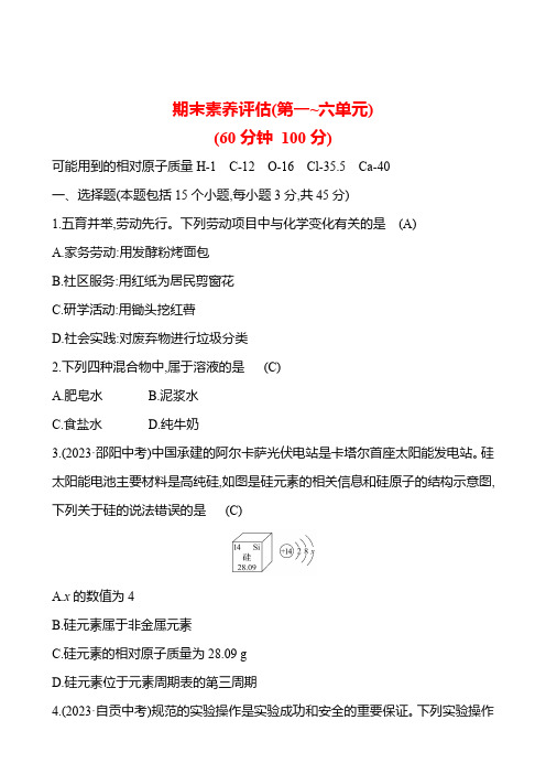 期末素养评估(第一~六单元) 试卷 (教师版)---2024--2025学年九年级化学鲁教版