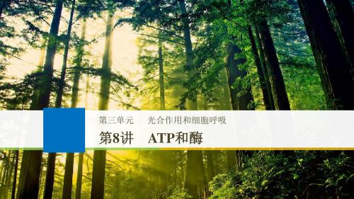 2018届一轮复习苏教版 ATP和酶 课件