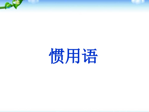 小升初语文知识点专项复习基础知识惯用语课件(共22张PPT)