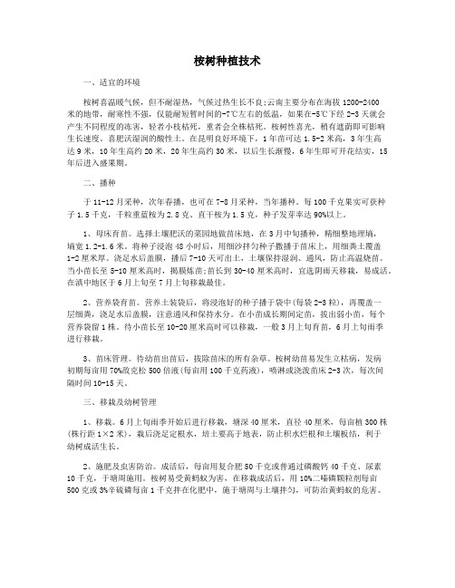 桉树种植技术