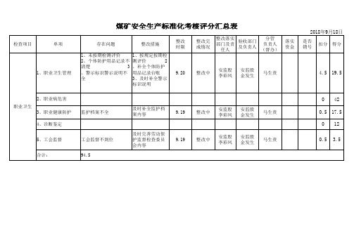 职业卫生质量标准化评分表