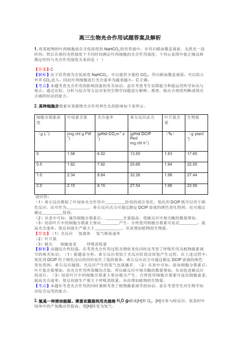 高三生物光合作用试题答案及解析
