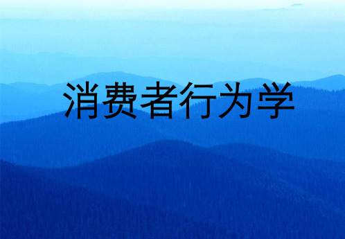 第一章消费者行为学概述
