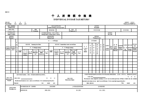 个人所得税申报表