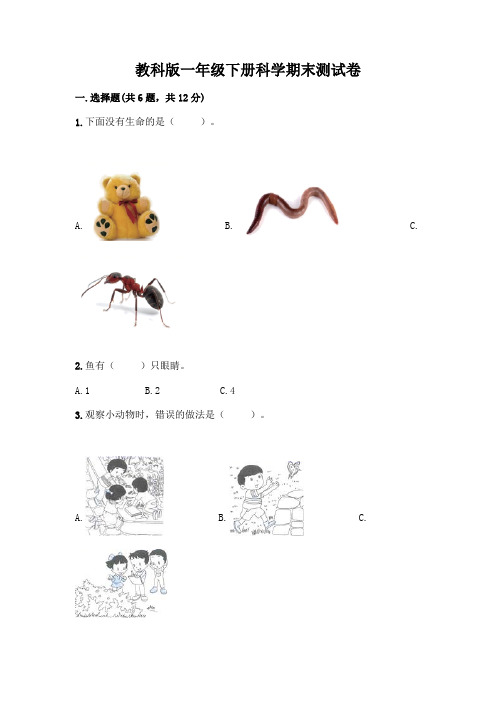 教科版一年级下册科学期末测试卷附参考答案(综合卷)