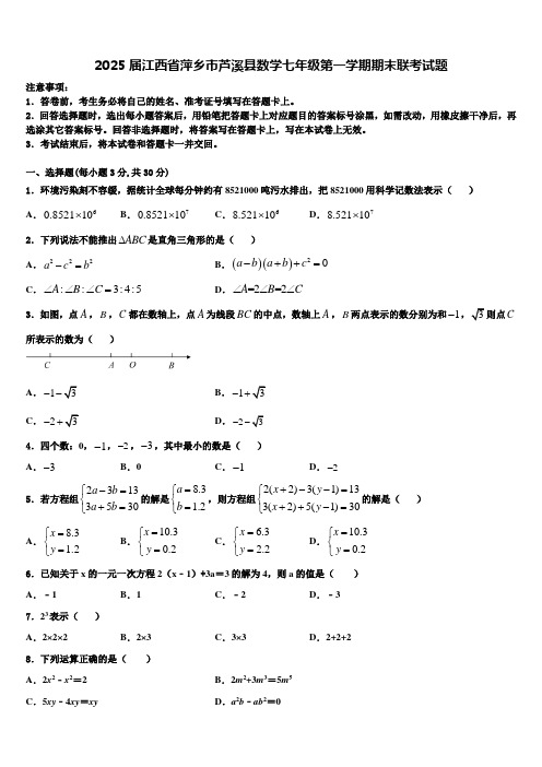 2025届江西省萍乡市芦溪县数学七年级第一学期期末联考试题含解析