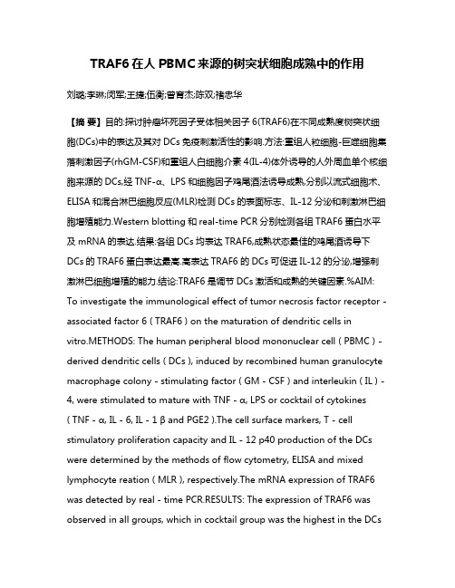 TRAF6在人PBMC来源的树突状细胞成熟中的作用