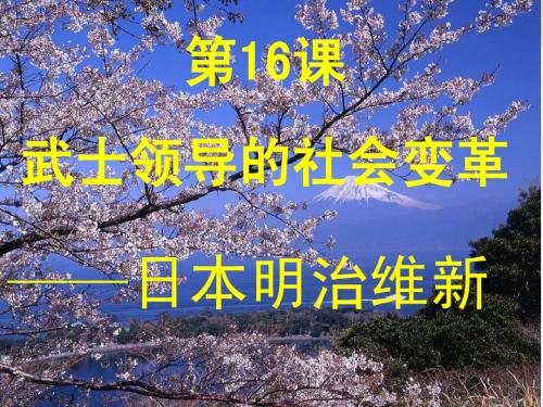 第16课 武士领导的社会变革 北师大版