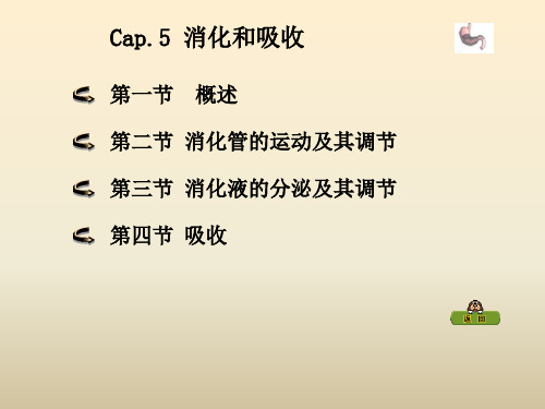 动物生理学 Cap5 消化生理