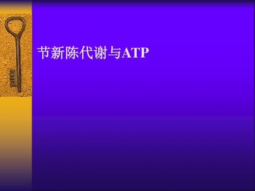 新陈代谢与ATPppt2 人教版