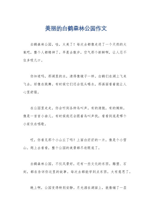 美丽的白鹤森林公园作文