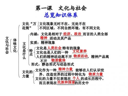 高中政治必修三文化生活第一单元复习课