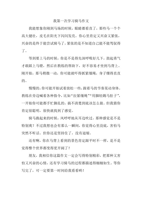 我第一次学习骑马作文