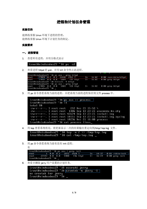 进程和计划任务管理