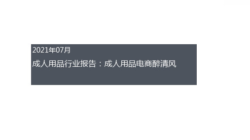 成人用品行业报告：成人用品电商醉清风ppt