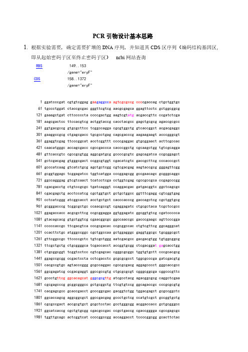 PCR引物设计基本思路-推荐下载